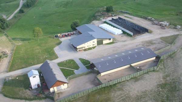 žogu sistēmas meistarība kvalitatīva ziemeļbriežu fermas pilna servisa lielu platību nožogošana Polija